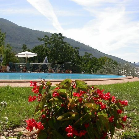 Agriturismo I Mandorli Треви Екстериор снимка