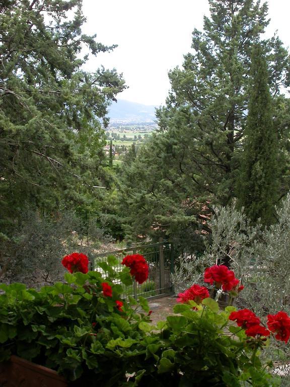 Agriturismo I Mandorli Треви Екстериор снимка